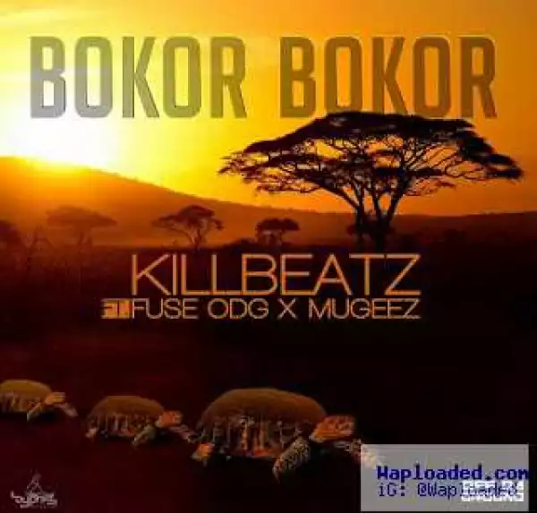 KillBeatz - Bokor Bokor ft FuseODG x Mugeez (R2Bees)
